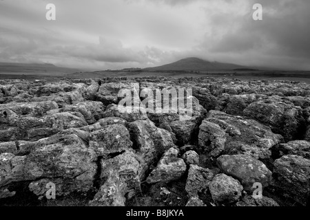 Nuvole temporalesche sulla pavimentazione di pietra calcarea con Ingleborough e Penyghent nella distanza, Ribblesdale, Yorkshire Dales Foto Stock