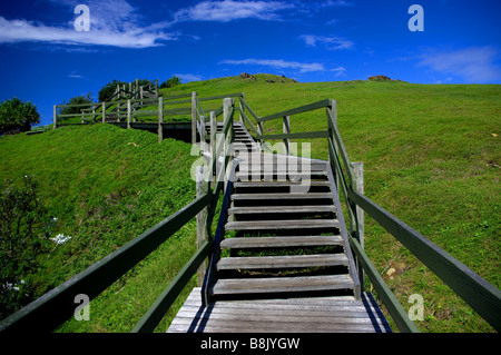 Lungo le scale per una spiaggia lookout. Foto Stock