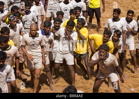 India Tamil Nadu Allanganallur Pongal annuale Jallikkattu corrida sibilo concorrenti di Bull Foto Stock