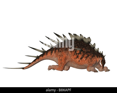 Dinosauro Kentrosaurus isolati su sfondo bianco Foto Stock