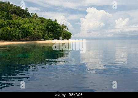 Isola tropicale cielo mare e palme Foto Stock