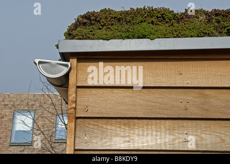 I campi di argilla abbordabili di eco-case di sviluppo, Elmswell, Suffolk, Regno Unito. Foto Stock