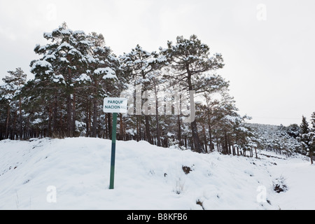 Puerto de la Ragua del Parque Nacional de Sierra Nevada provincia di Granada Spagna. Segno che identifica il Parque Nacional o Parco Nazionale Foto Stock