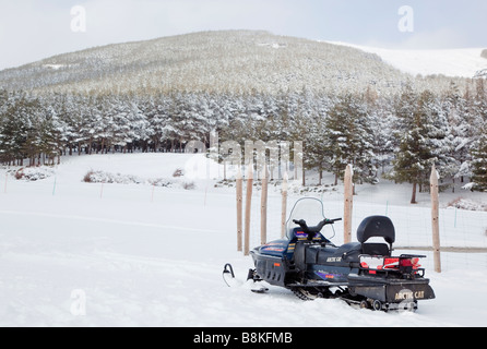 Puerto de la Ragua del Parque Nacional de Sierra Nevada provincia di Granada Spagna Arctic cat gatto delle nevi Foto Stock