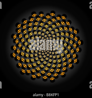 3D illustrazione CGI di Fibonacci la fillotassi - il modello si vede spesso nelle piante e la crescita naturale come teste di seme. Foto Stock