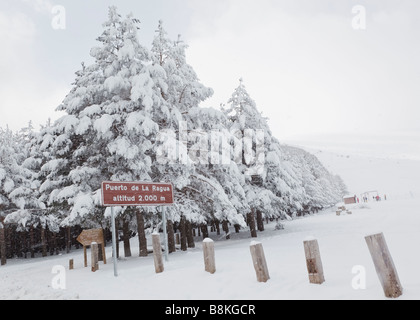 Puerto de la Ragua del Parque Nacional de Sierra Nevada provincia di Granada Spagna scena invernale Foto Stock