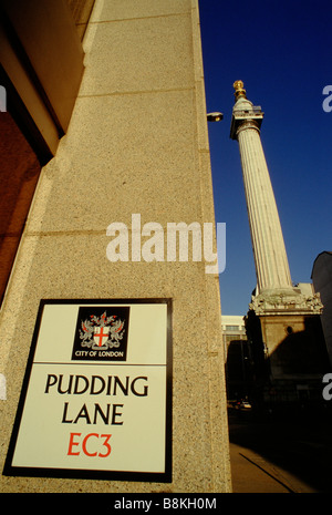 Il monumento Londra REGNO UNITO Il monumento nella città di Londra Foto Stock
