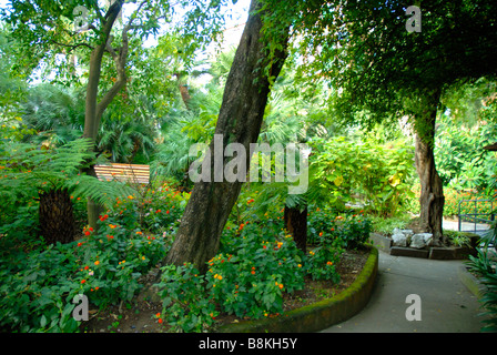 Il giardino dell'Hotel Excelsior Vittorio a Sorrento, in Campania, Italia Meridionale Foto Stock