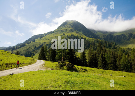 La zona intorno al Luegergraben e Grosser Galtenberg Foto Stock