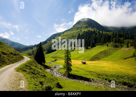 La zona intorno al Luegergraben e Grosser Galtenberg Foto Stock