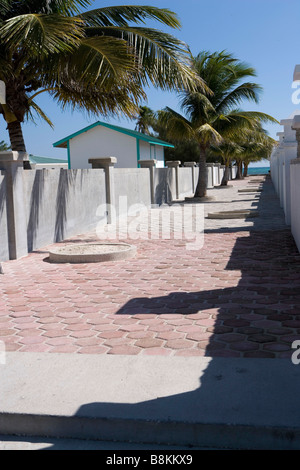 Un passaggio pedonale lastricata conduce il cammino lungo le pareti bianche e le palme per le belle spiagge di Ambergris Caye in Belize. Foto Stock