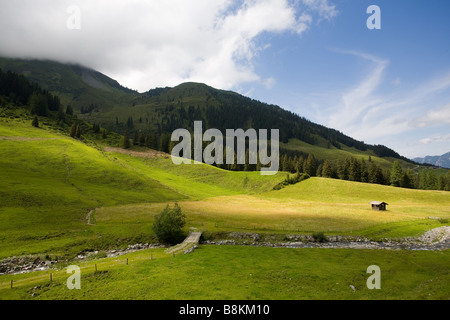 La zona intorno al Luegergraben nelle Alpi Foto Stock