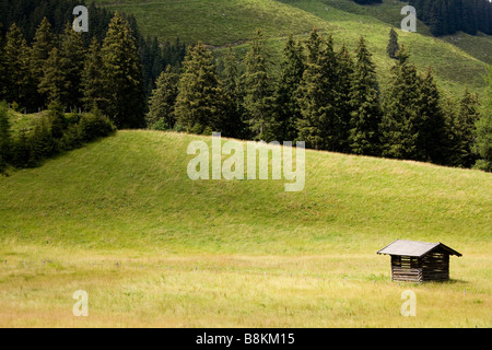 La zona intorno al Luegergraben nelle Alpi Foto Stock