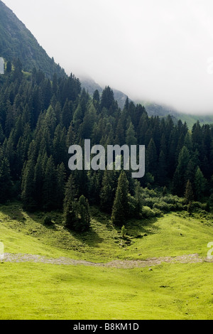 La zona intorno al Luegergraben nelle Alpi Foto Stock