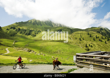 L'alp Steinbergalm su 1712 m nel vicino dalla montagna Grosser Galtenberg Foto Stock