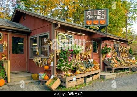 Ellie's Farm Mercato con zucche e caduta con un decor di Northfield, Vermont USA Foto Stock