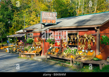 Ellie's Farm Mercato con zucche e caduta con un decor di Northfield, Vermont USA Foto Stock