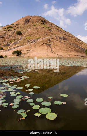 India Tamil Nadu Madurai Tidiyan serbatoio del villaggio Foto Stock