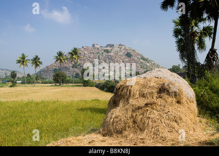 India Tamil Nadu Gingee Fort Krishnagiri hilltop fort Foto Stock