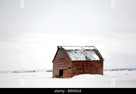 Il vecchio fienile vicino a Ashton, Idaho, Stati Uniti d'America Foto Stock