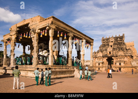 India Tamil Nadu Thanjavur Brihasdishwara tempio ai visitatori la visione Nandi statua sulla sua pavillion Foto Stock