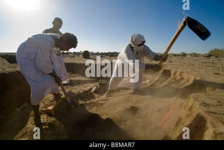 Quarto Fiume Nilo catharact regione Nubia Sudan Foto Stock