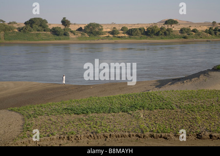 Quarto Fiume Nilo catharact regione Nubia Sudan Foto Stock