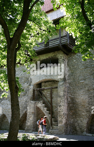 Il giardino del re danese TALLINN ESTONIA TOOMPEA HILL TALLINN ESTONIA 08 Giugno 2007 Foto Stock