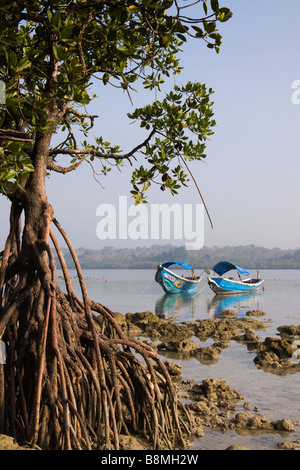 India Andamane e Nicobare Havelock island numero 2 villaggio barche da pesca attraverso le radici di mangrovia, Foto Stock