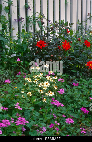 Cottage colorati flower garden piantato davanti a bassa manutenzione vinil Picket Fence. Foto Stock