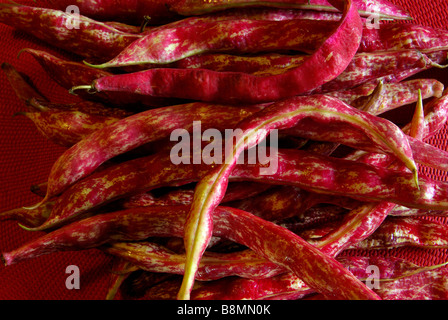 Italiano di fagioli borlotti Foto Stock