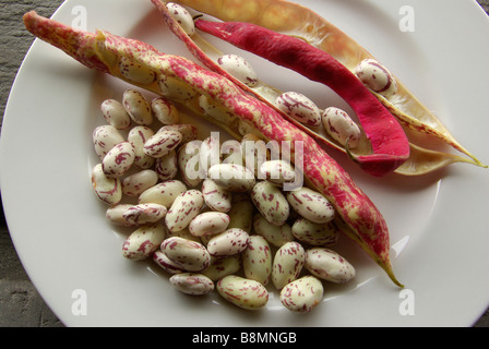 Italiano di fagioli borlotti Foto Stock