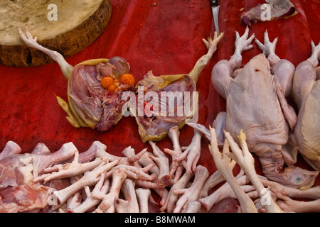 Pollo per la vendita su un mercato tailandese Foto Stock