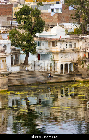 La balneazione e lavare i loro vestiti Lago Pichola Udaipur Rajasthan in India Foto Stock