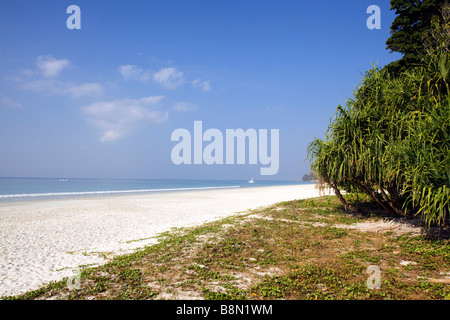 India Andamane e Nicobare Havelock island Radha Nagar beach Foto Stock