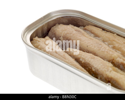 Conserve di sardine in olio al limone Foto Stock