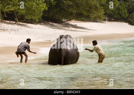 India Andamane e Nicobare Havelock island mahout elefante di lavaggio in mare Foto Stock