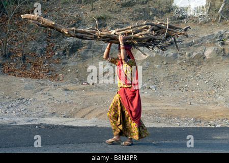 Donna indiana trasportare il legno sul suo capo sulla strada di un paese vicino a kumbalgarh Foto Stock