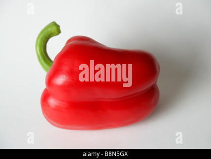 Rosso di peperone Foto Stock
