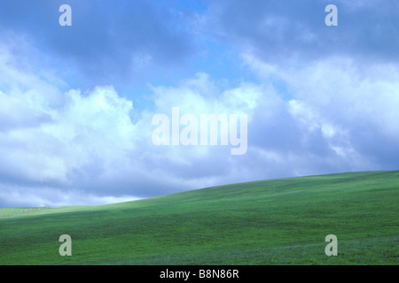 Verdi colline con Puffy nuvole bianche Foto Stock