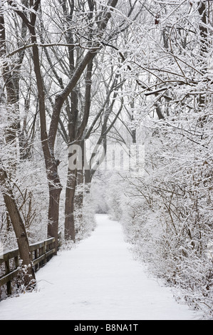 Coperta di neve sentiero attraverso boschi in inverno Foto Stock