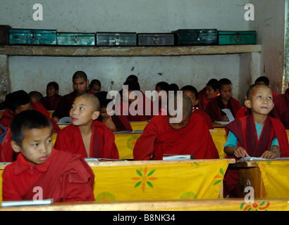 Giovani monaci in classe A dello stato scuola monastica Phodrung Dechen monastero. Foto Stock