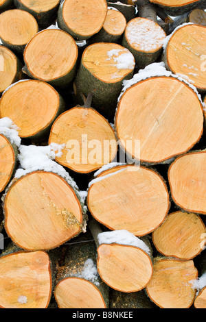 Pila di grande albero logs sezionatura pattern in inverno parzialmente coperto di neve. Foto Stock