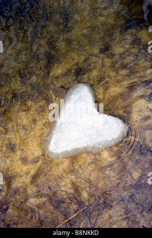 Lo scongelamento del cuore di ghiaccio che fluisce oltre il fiume in streaming in primavera. Foto Stock