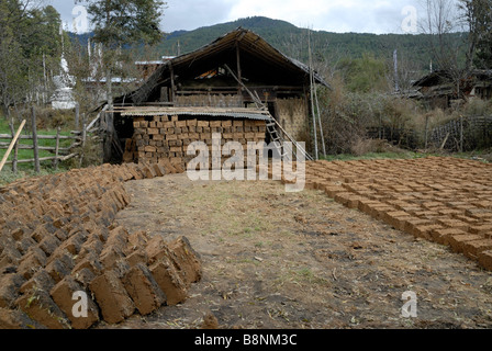 I mattoni di fango e paglia giacente fuori ad asciugare. Foto Stock