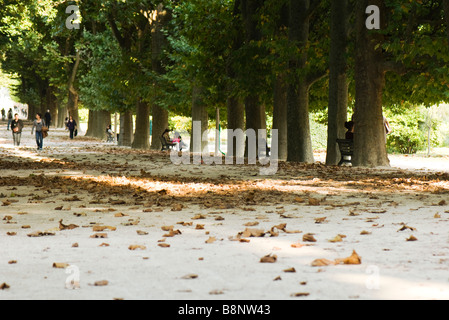 Francia, Parigi, persone in un parco alberato Foto Stock