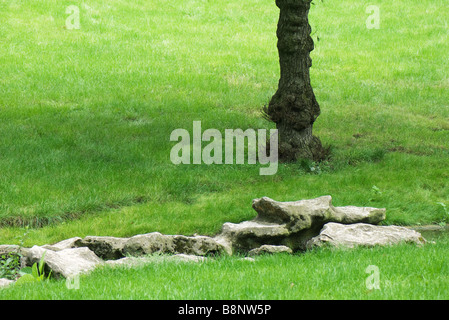 Park scena con rocce, tronco di albero Foto Stock