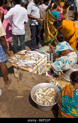 India Tamil Nadu Chennai beach mercato del pesce piccolo stallo stradale la vendita di pesce fresco appena pescato Foto Stock