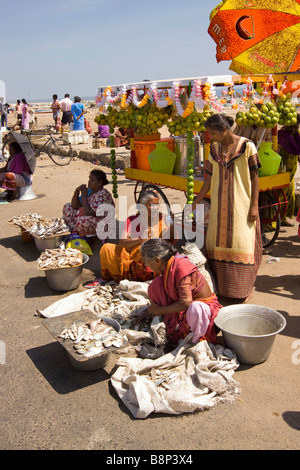 India Tamil Nadu Chennai beach mercato del pesce piccolo stallo stradale la vendita di pesce fresco appena pescato Foto Stock