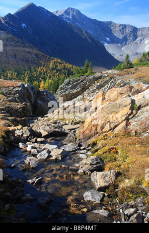 Piccolo ruscello sulla Ptarmigan Cirque trail a Highwood Pass, Kananaskis country Foto Stock